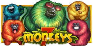 11_7-Monkeys_desktop_330x140px-1.png